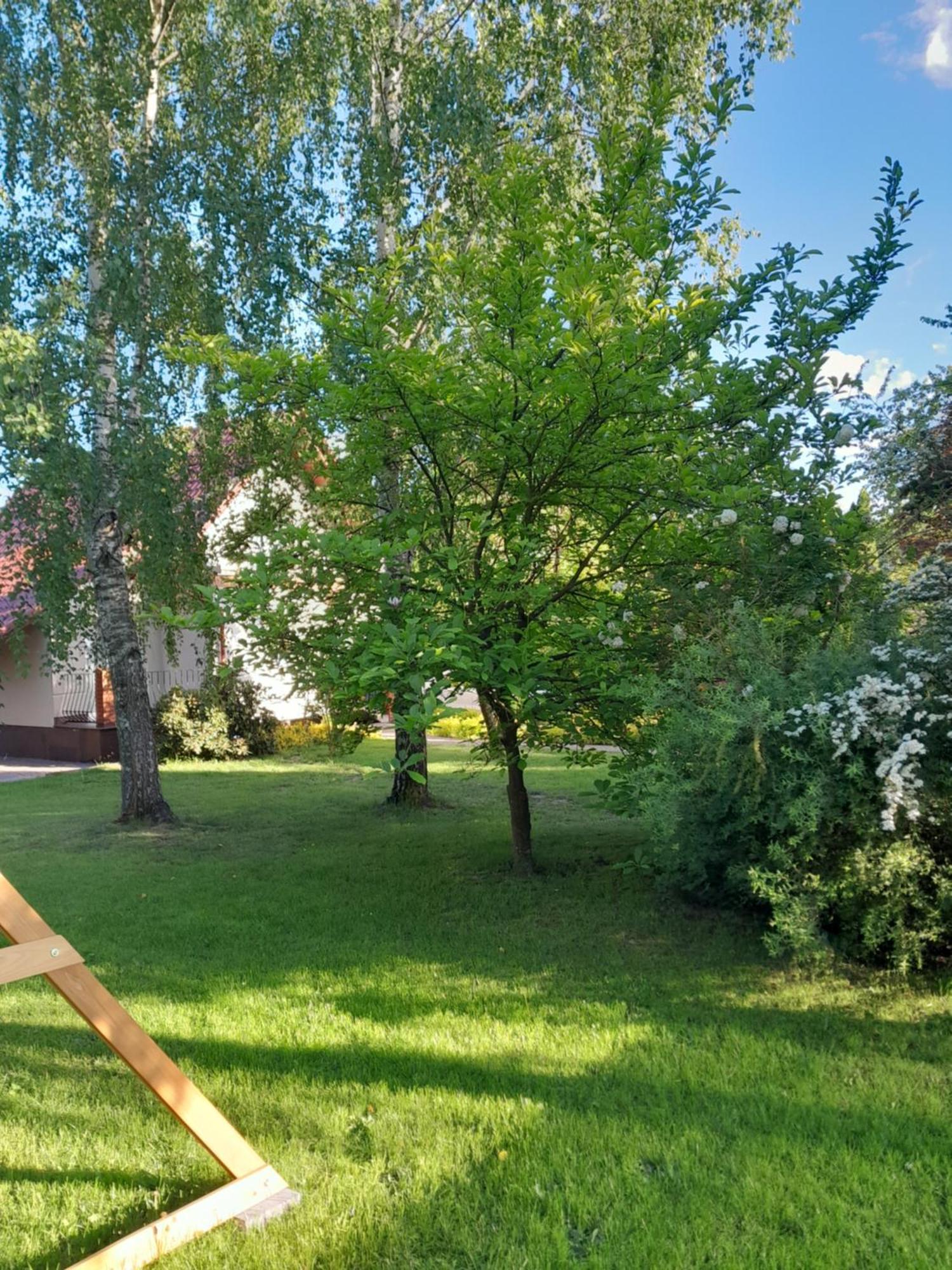 Domek Pod Brzozami Z Jacuzzi ,Grillem I Tarasem Przemysl Exterior photo
